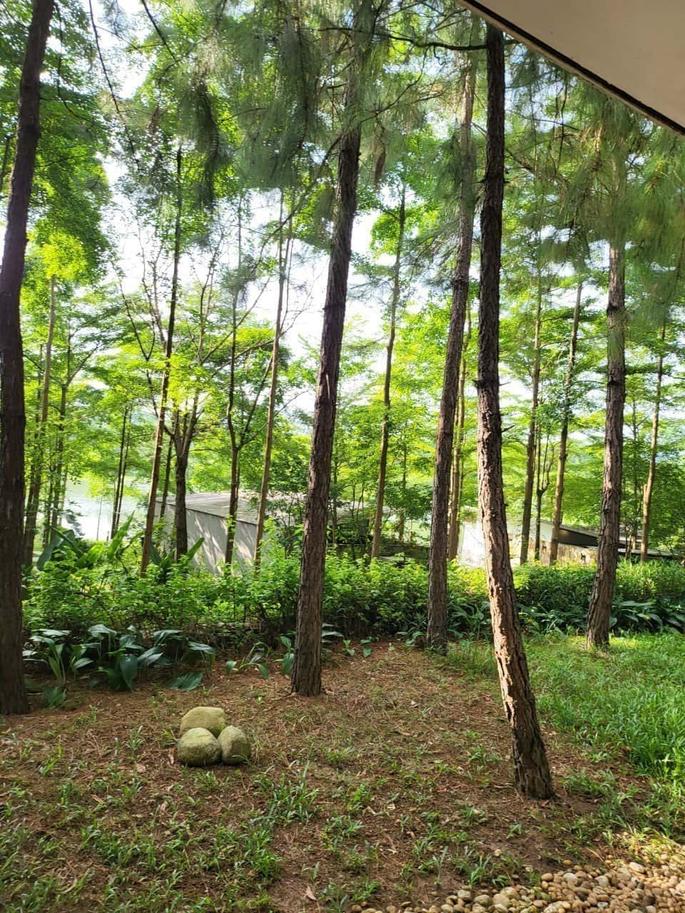r301-flamingo-dai-lai-vinh-phuc