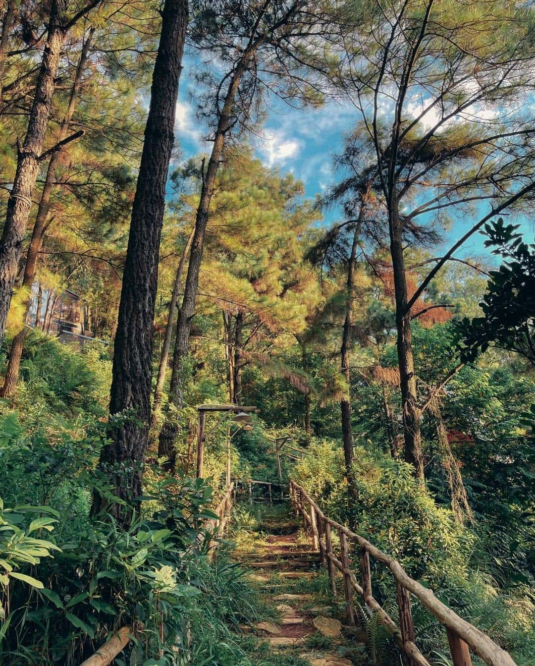 Nhà Bay (De'bay Retreat) tại Lâm Trường, Sóc Sơn