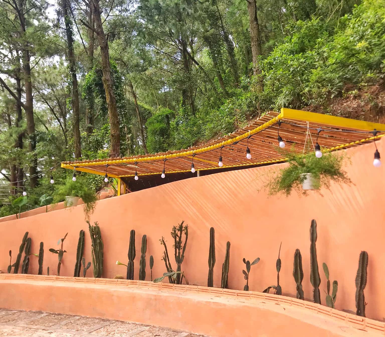 Nhà Gỗ Rừng Thông (De'bay Retreat) tại Lâm Trường, Sóc Sơn