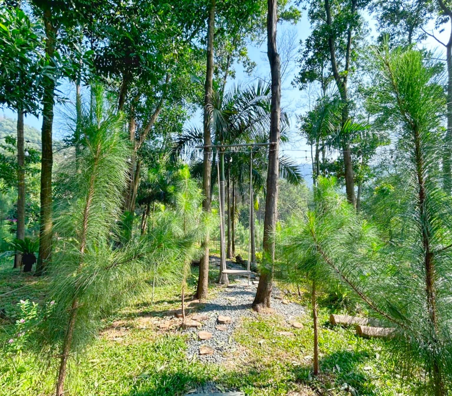 Oliu Homestay (Lee Garden) tại Lâm Trường, Sóc Sơn