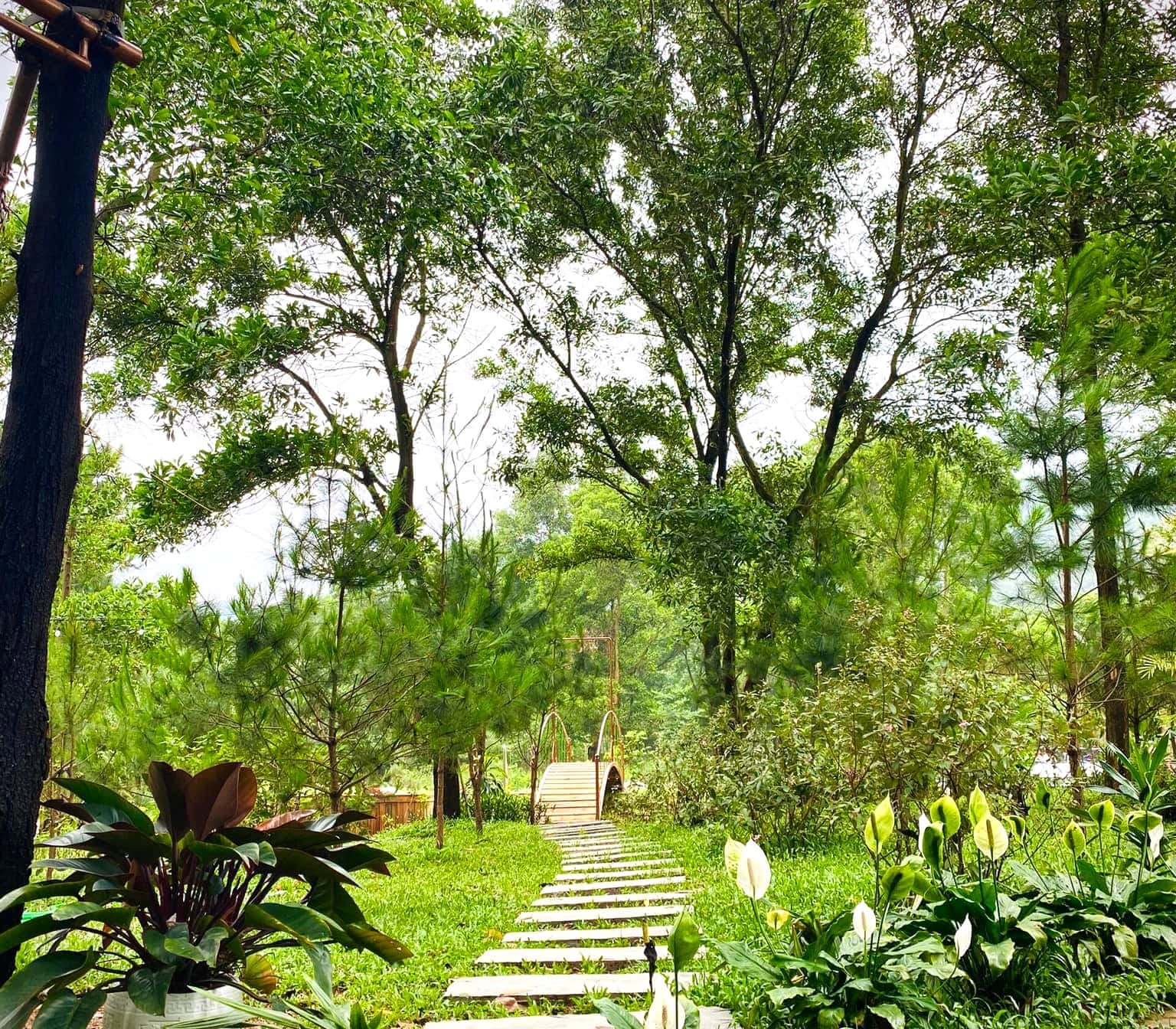 Nhà Bali (Moon Villa) tại Lâm Trường, Sóc Sơn