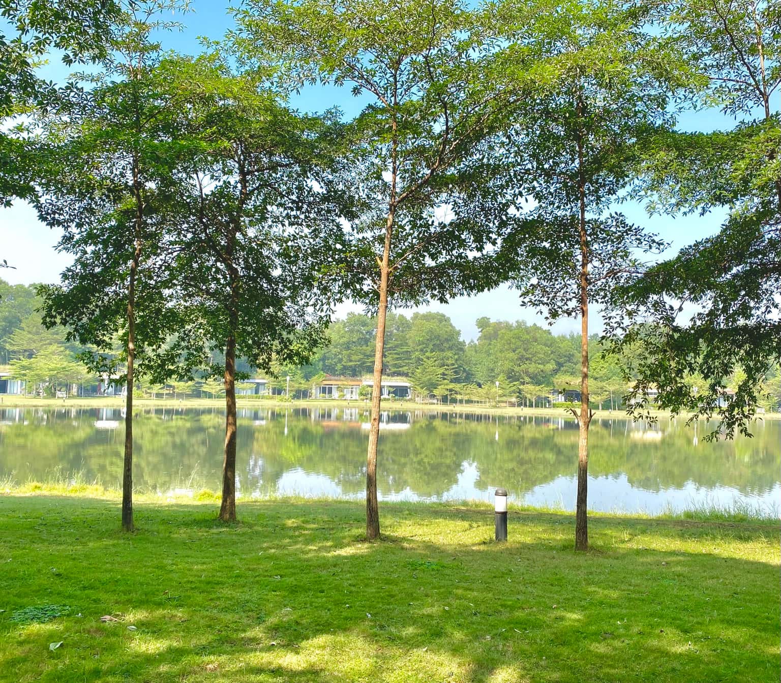 Villa R310, Flamingo Đại Lải