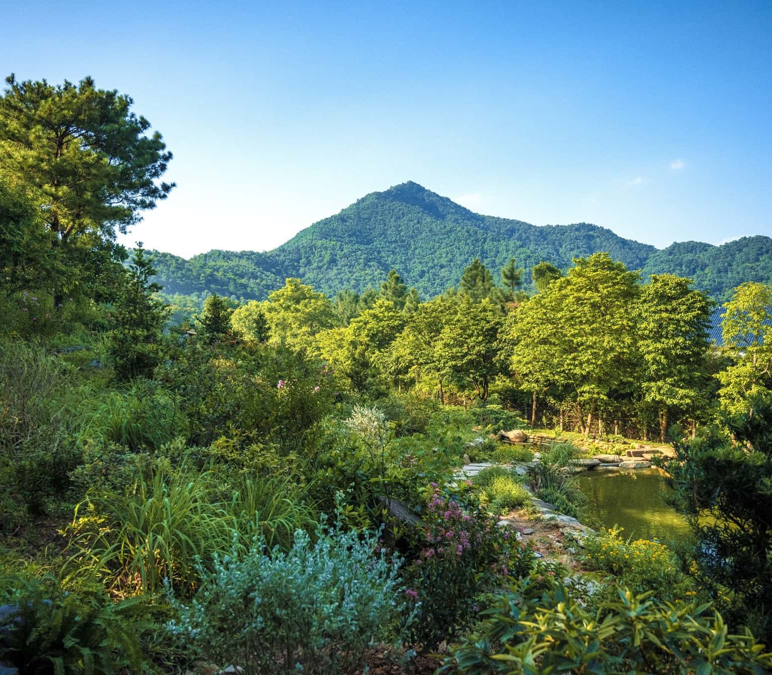 Earth House (Amaya Retreat) tại Lâm Trường, Sóc Sơn