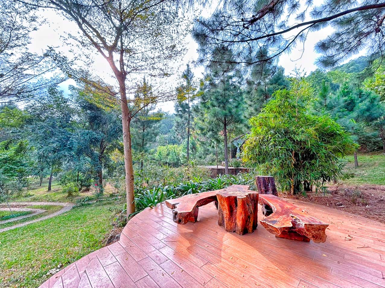 Pine Garden 1 tại Minh Phú, Sóc Sơn