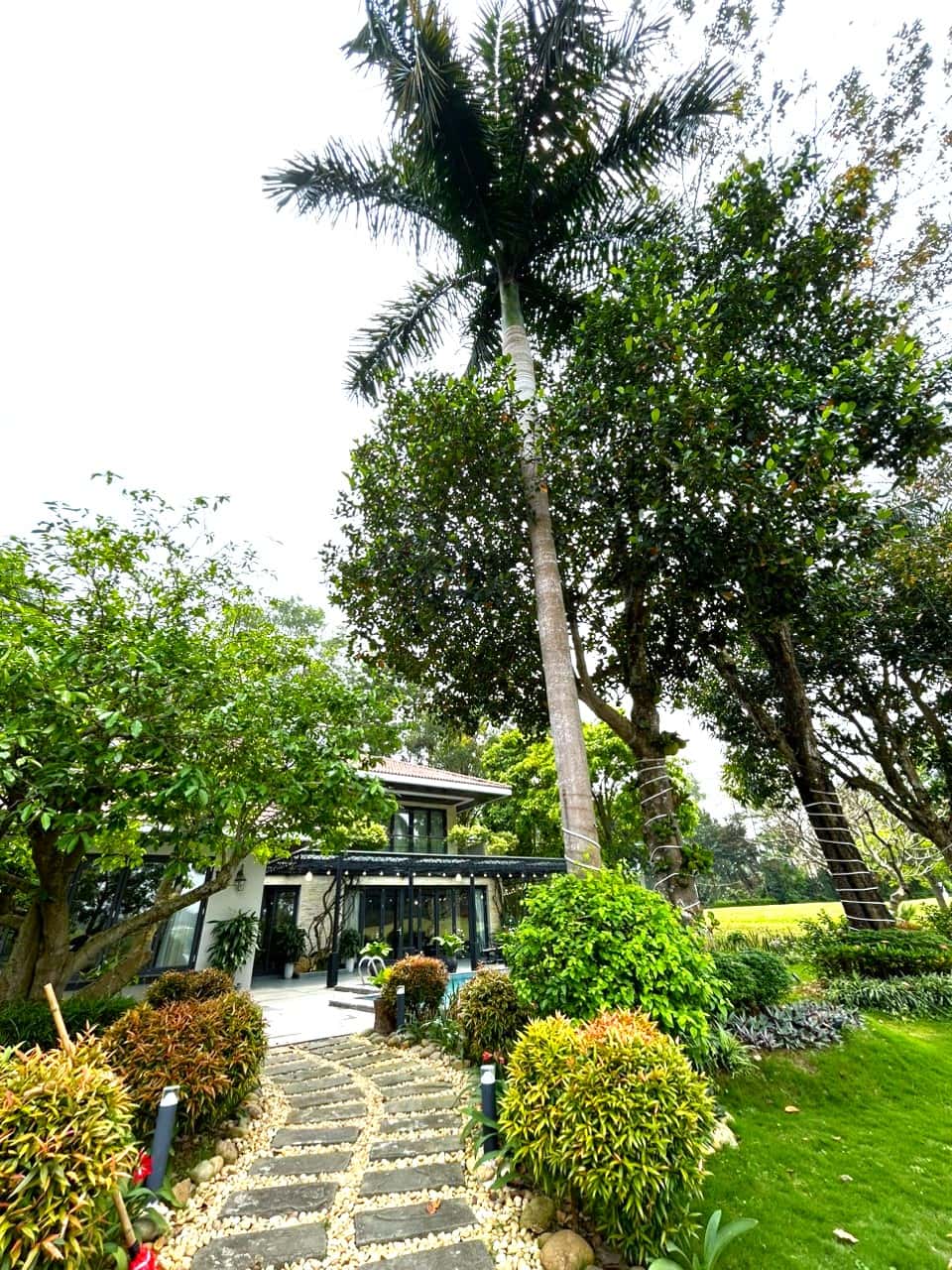 Villa B25, Flamingo Đại Lải