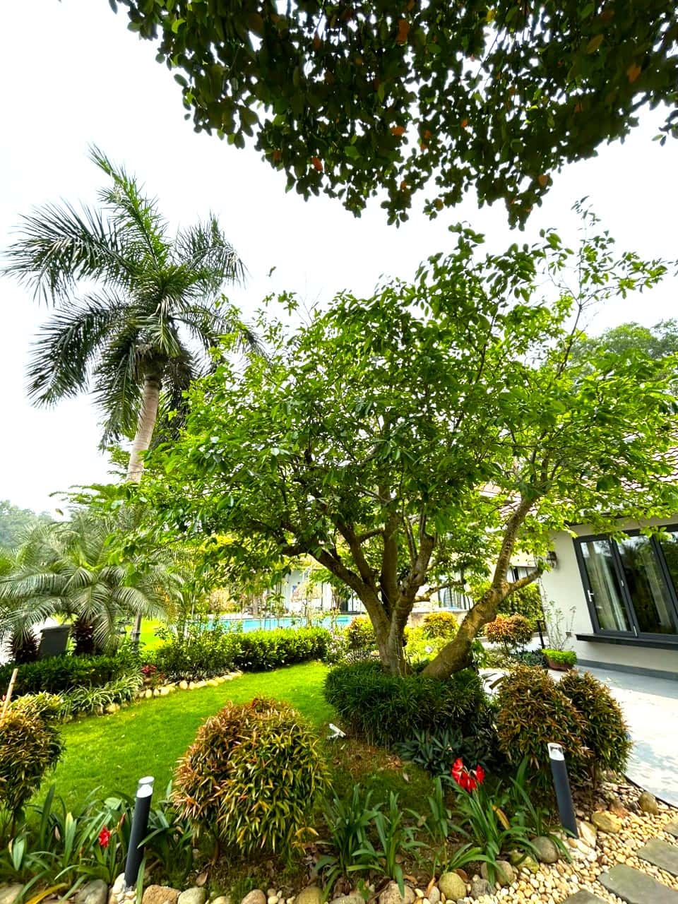 Villa B25, Flamingo Đại Lải