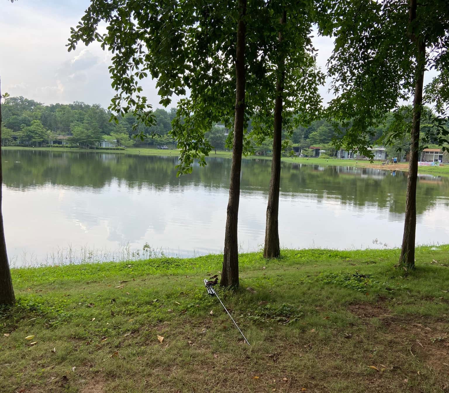 Forest Villa R309, Flamingo Đại Lải