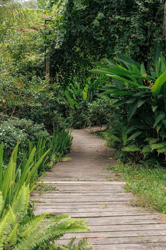 Sausau Garden (Lee Garden) tại Lâm Trường, Sóc Sơn