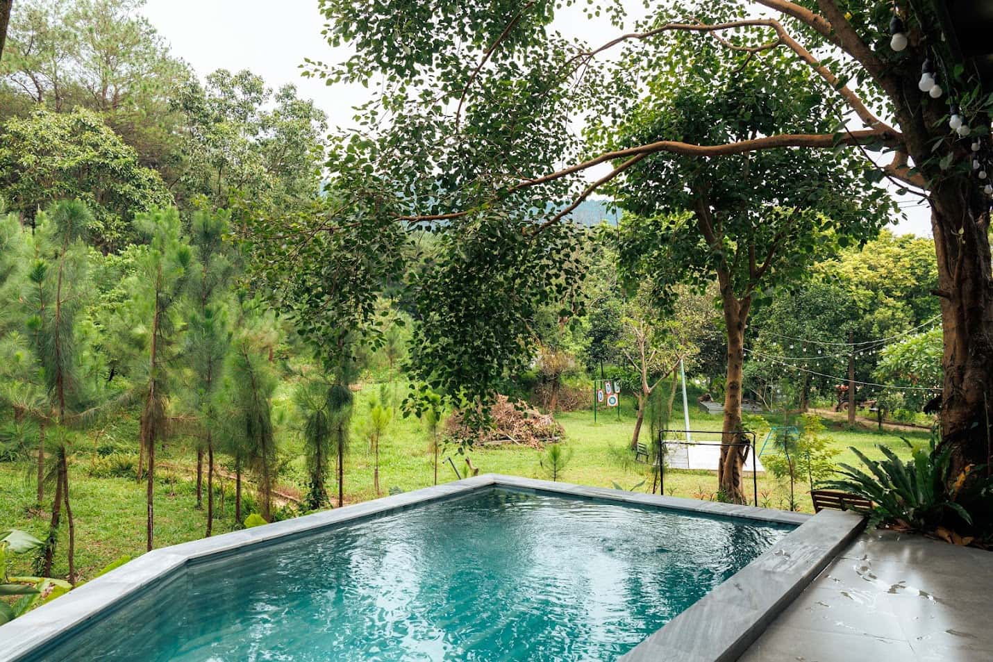 Fern Garden (Lee Garden) tại Lâm Trường, Sóc Sơn