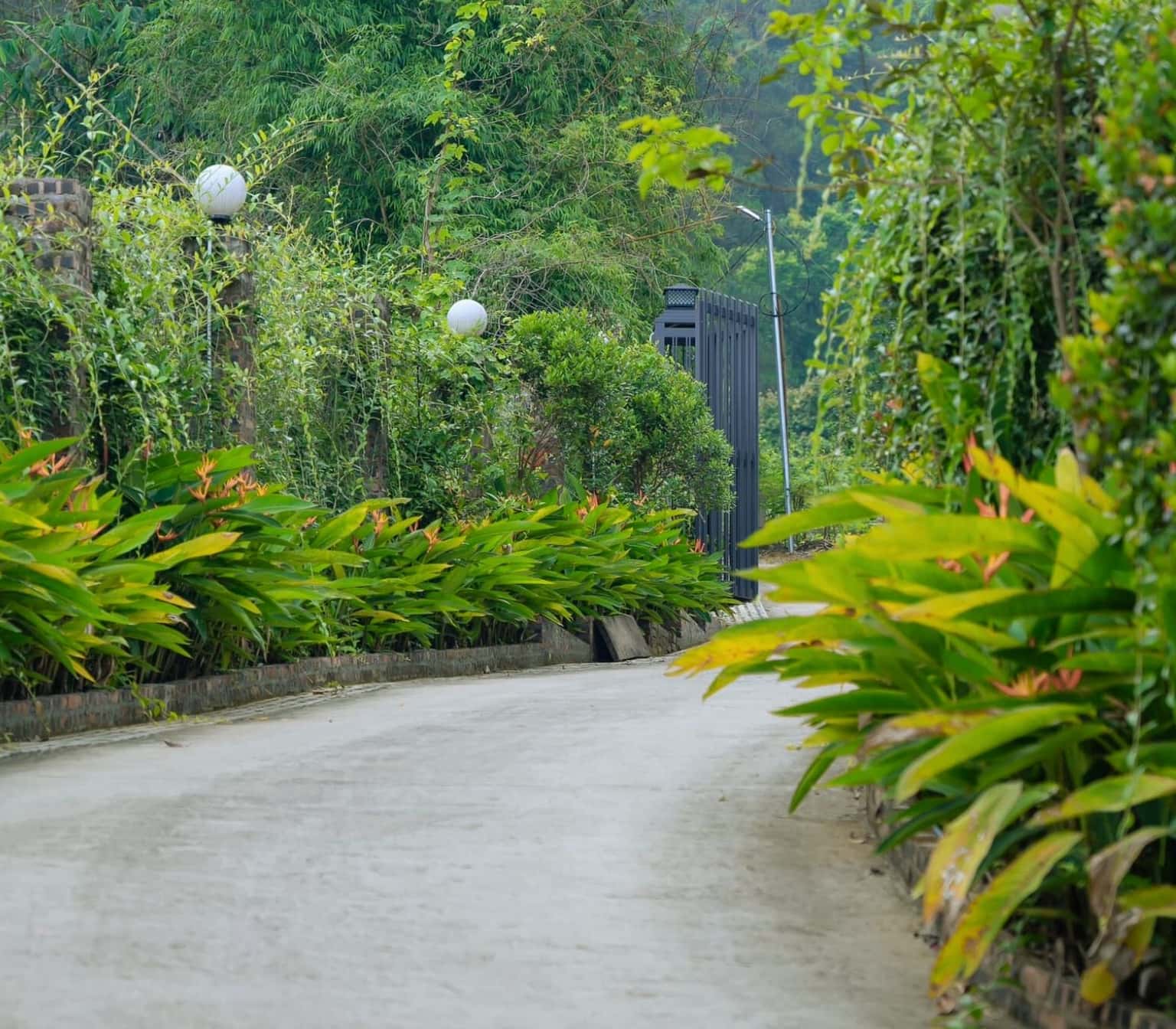 Yên Bài, Ba VìのLakasa Villa