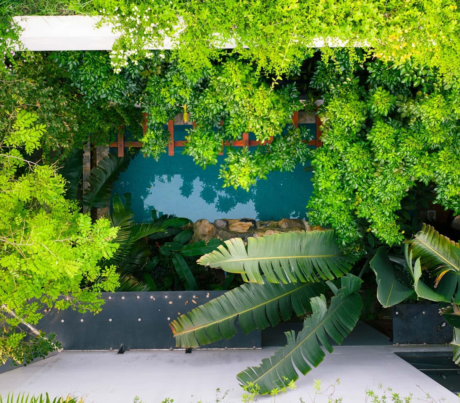 Mansion de Cactus E3.16, Venus Đại Lải