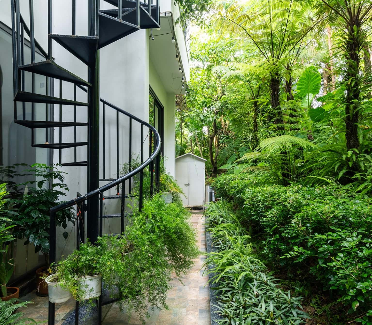 Mansion de Cactus E3.16, Venus Đại Lải