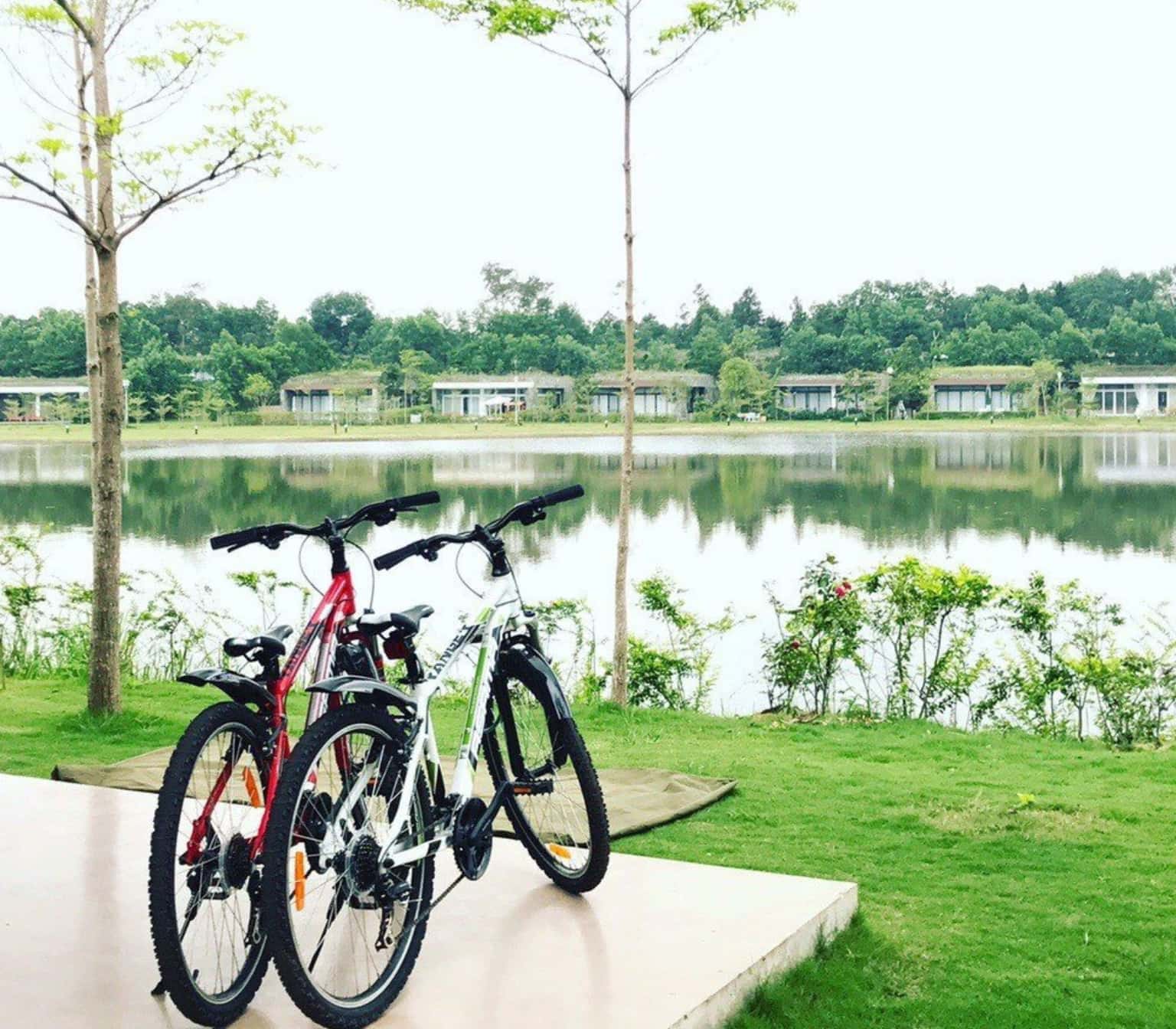 Villa R308, Flamingo Đại Lải