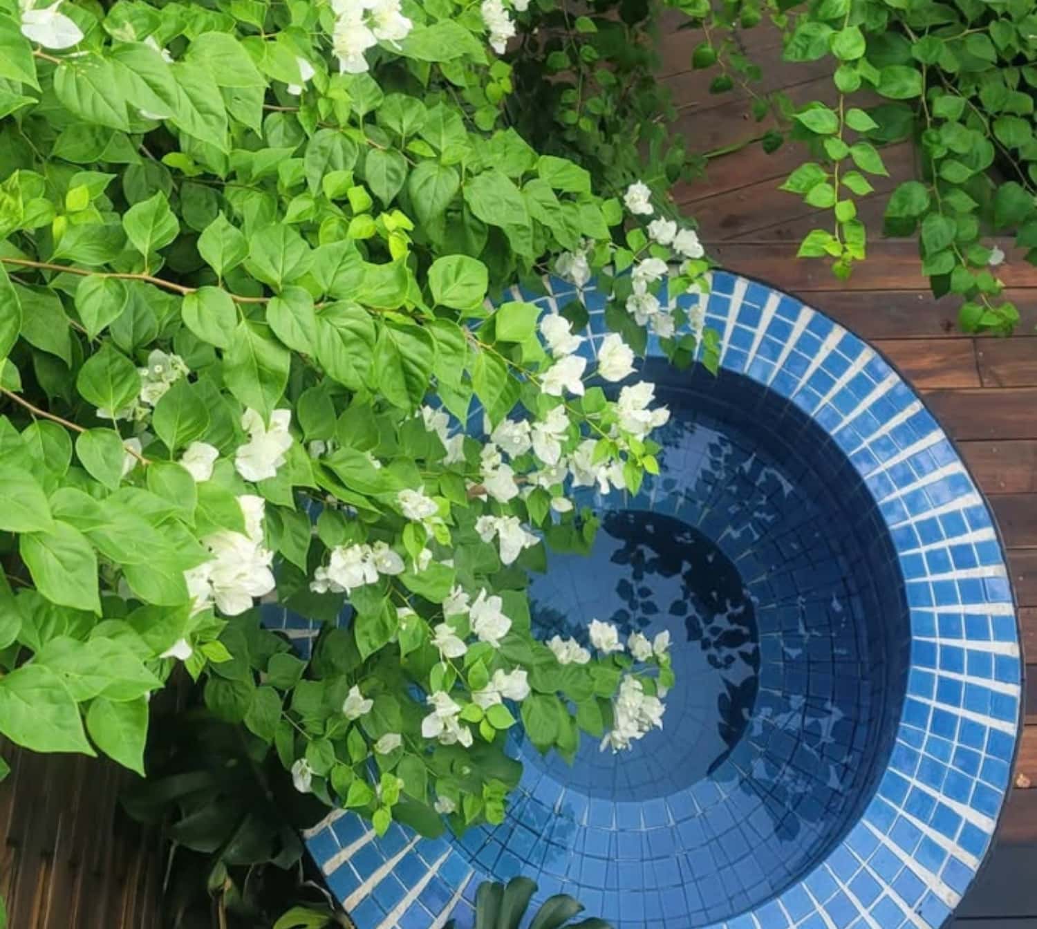 Lime Lakeside tại Lâm Trường, Sóc Sơn