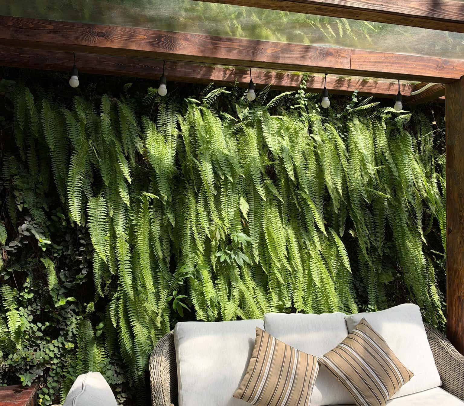 Một Sương (Một Homestay)