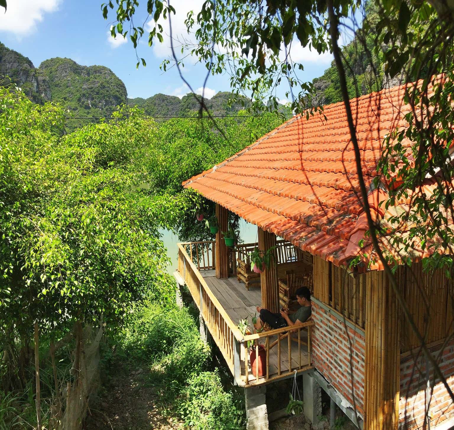 justfly ham rong homestay ninh binh