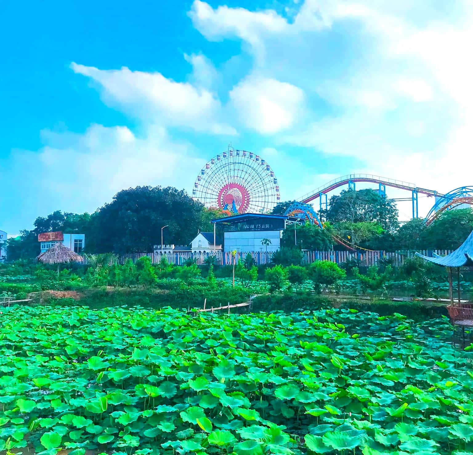 justfly pho di bo trinh cong son hanoi