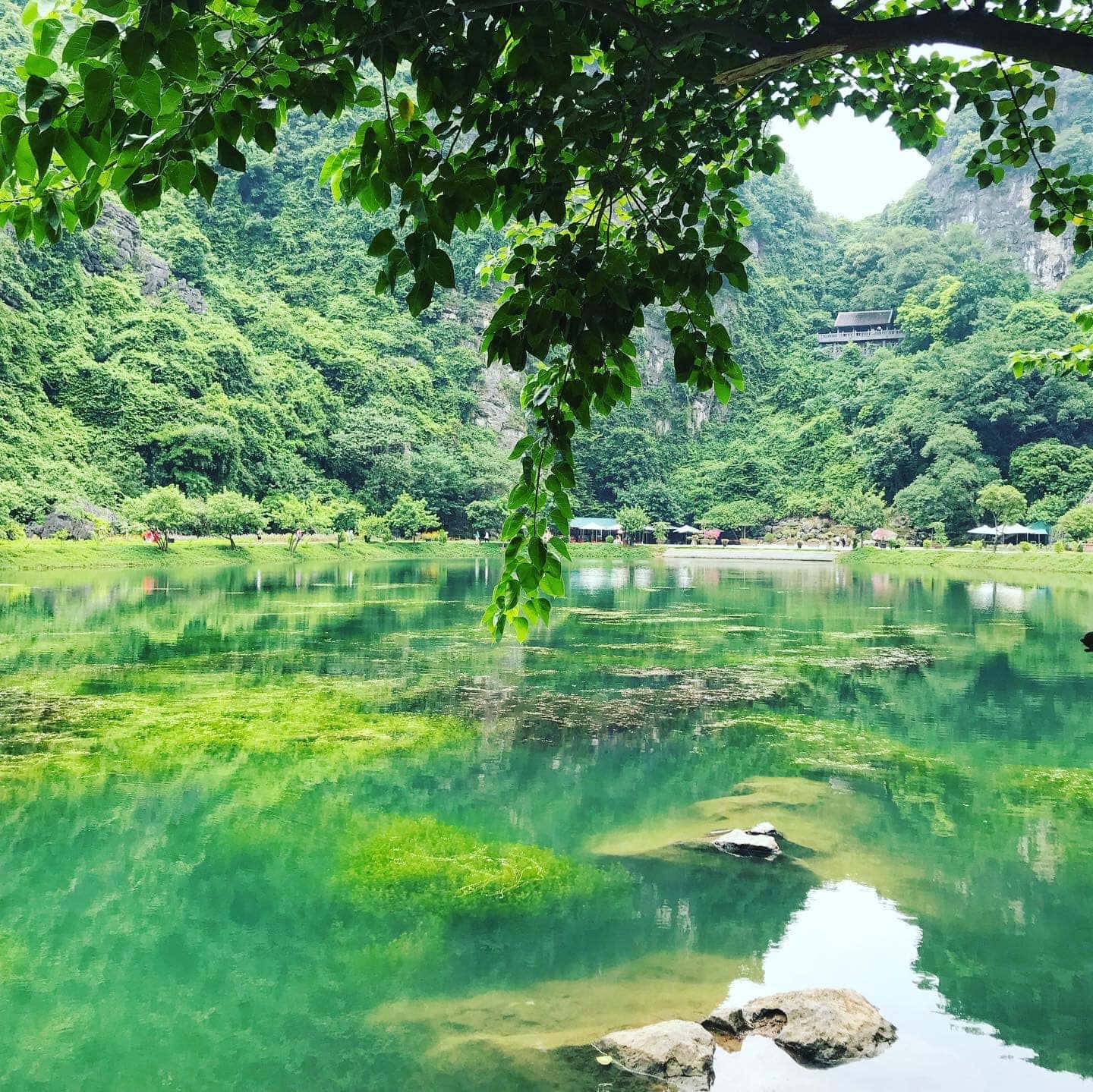 justfly trang an lamia bungalow ninh binh