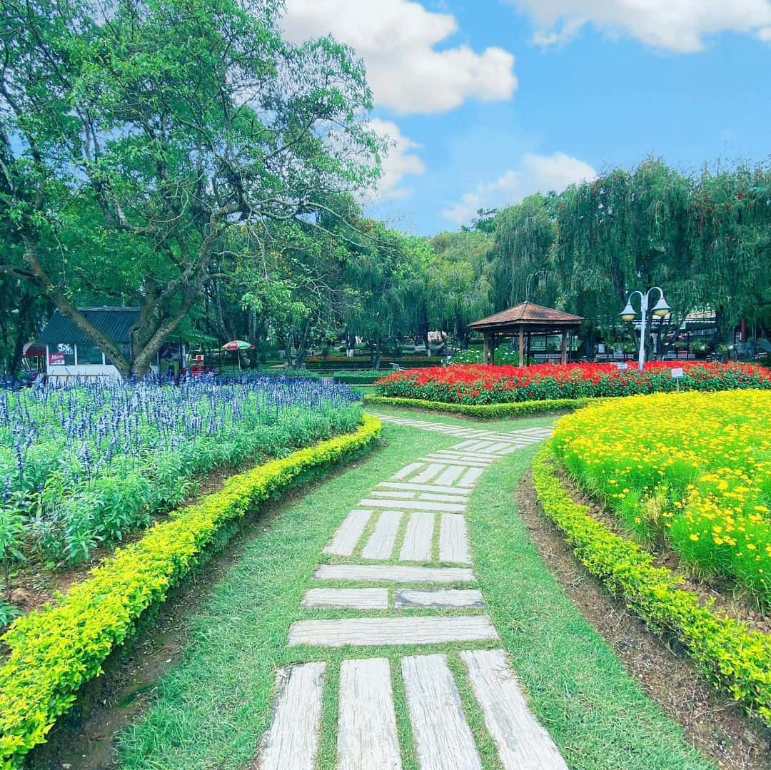 justfly vuon hoa thanh pho da lat
