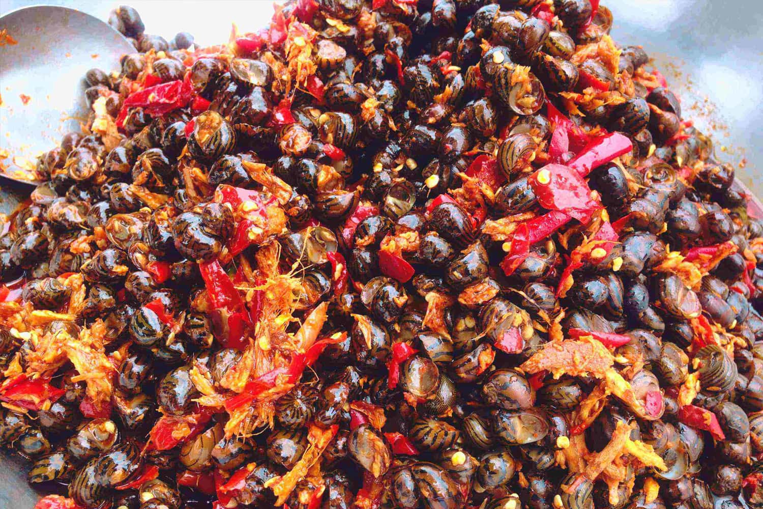 Ốc Hòa