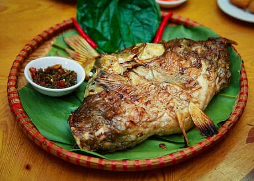 Cá sỉnh Nậm Thia