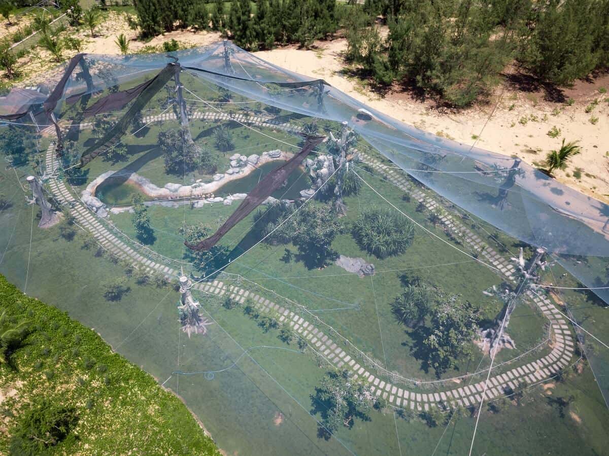 Công viên động vật Zoo Safari Park