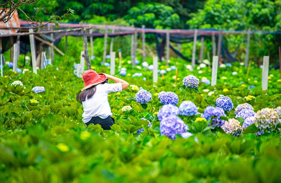 Bí quyết chụp hình sống ảo lung linh ở Đà Lạt