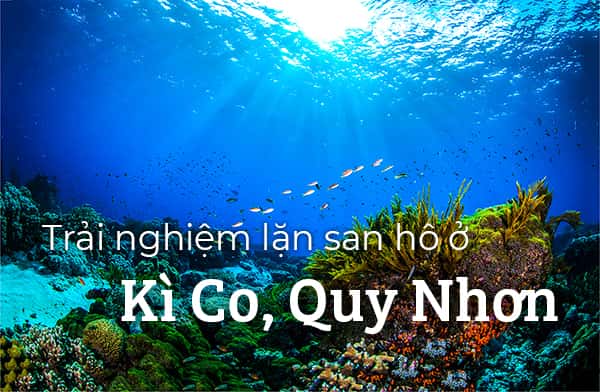 Kinh nghiệm lặn san hô an toàn ở Kỳ Co, Quy Nhơn