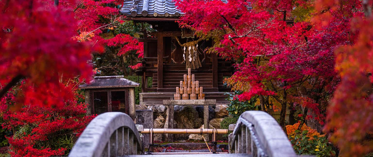 Top 9 ‌truyền‌ ‌thống‌ ‌văn hóa độc‌ ‌đáo‌ ‌ở‌ ‌Kyoto‌, Nhật Bản
