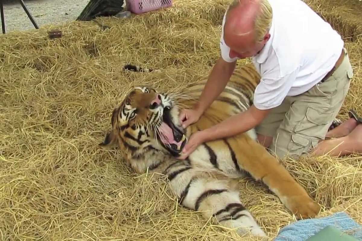 Wildlife Friends Foundation of Thailand