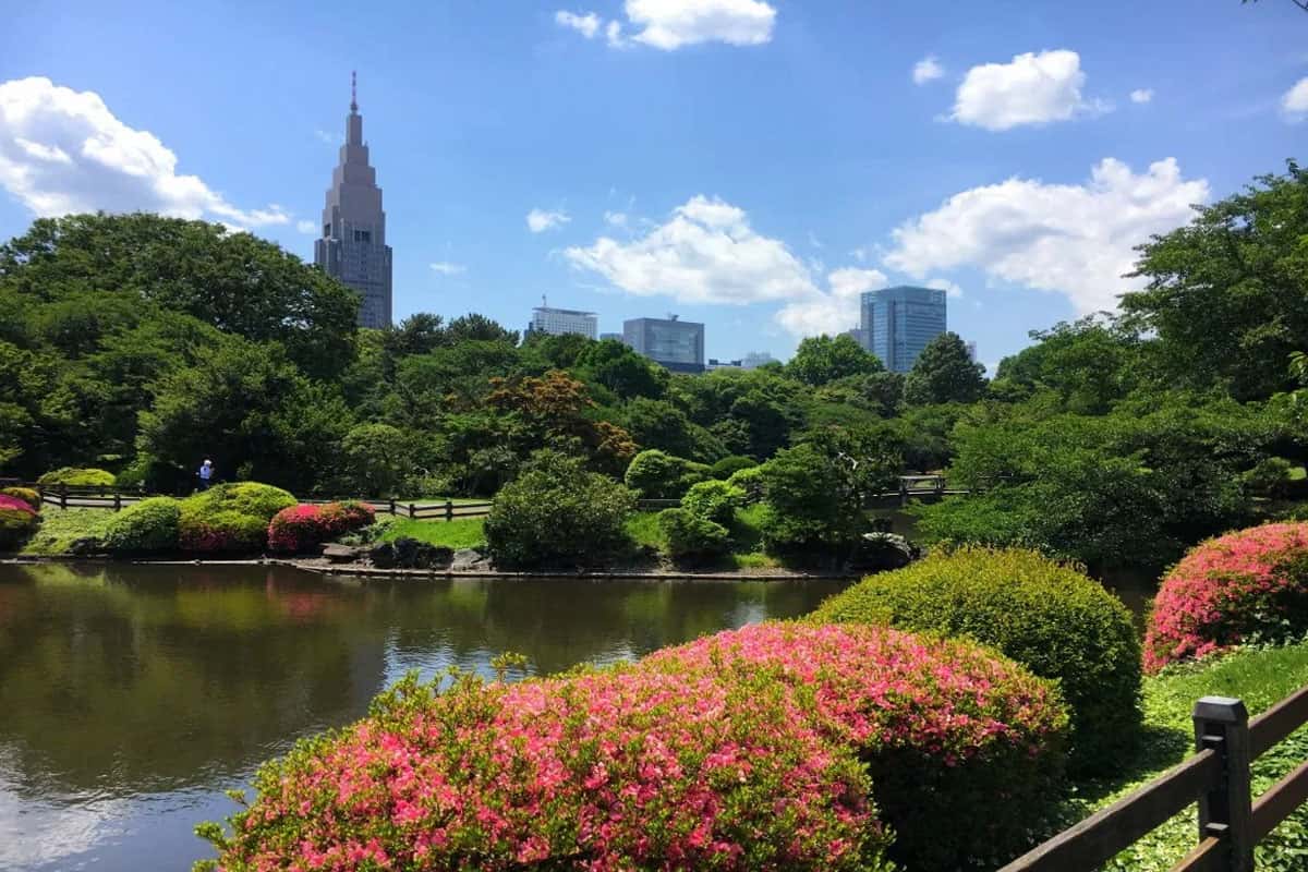 Vườn quốc gia Shinjuku Gyoen
