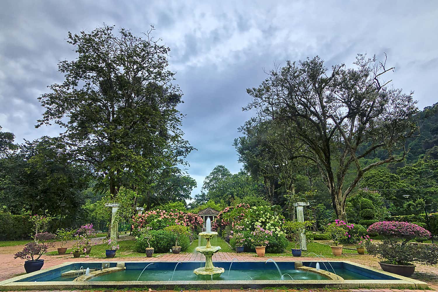  Penang Botanic Gardens