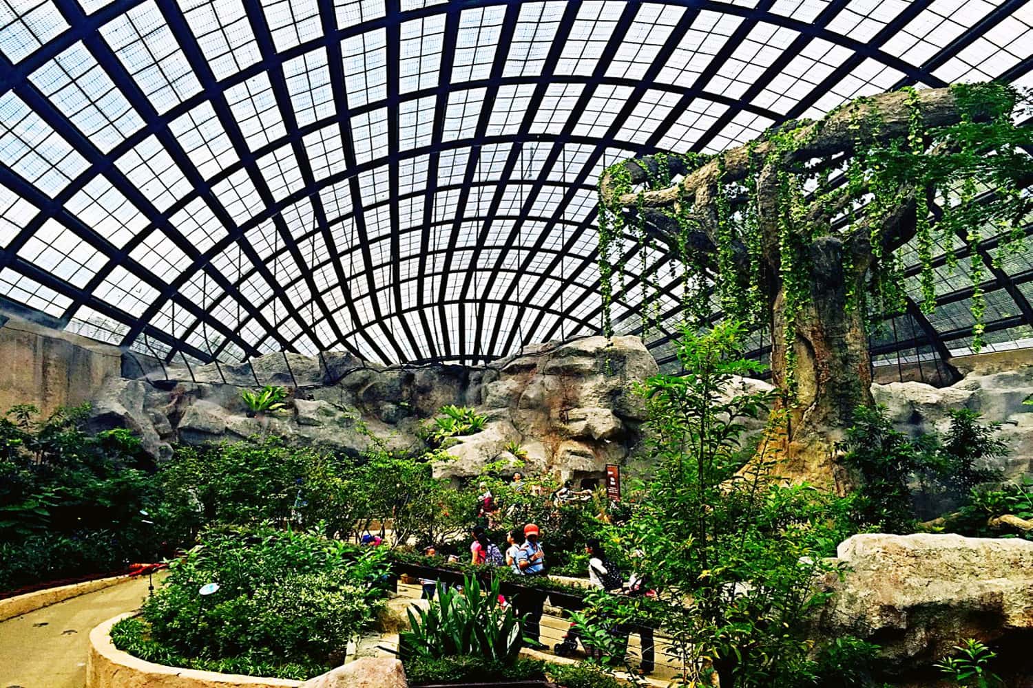 Trang trại Bướm ở Penang