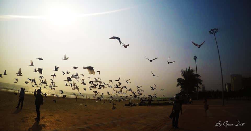 Hoàng hôn nhìn từ Công viên Biển Đông