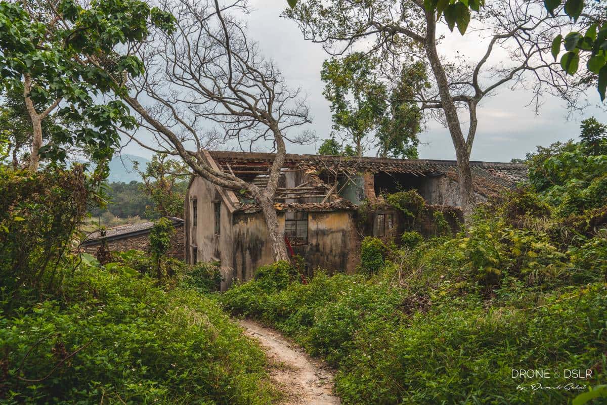Khám phá Yim Tin Tsai