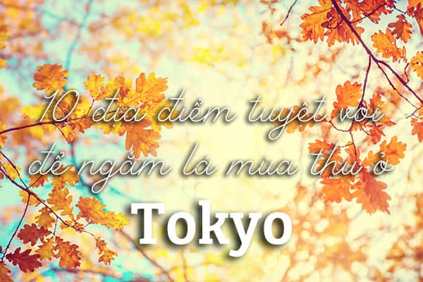 Top 10 địa điểm tuyệt vời để ngắm lá mùa thu ở Tokyo