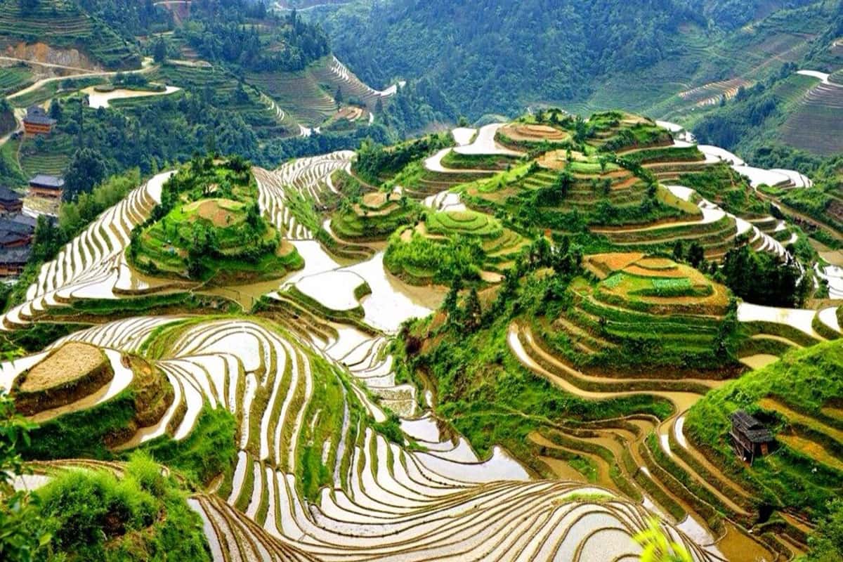 Ruộng bậc thang Long Tích