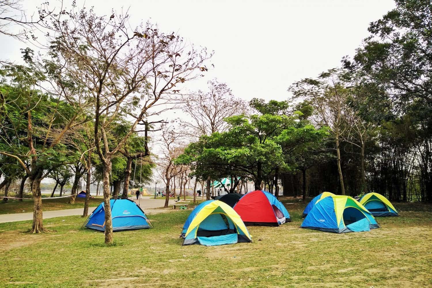 Cắm trại, dã ngoại, picnic