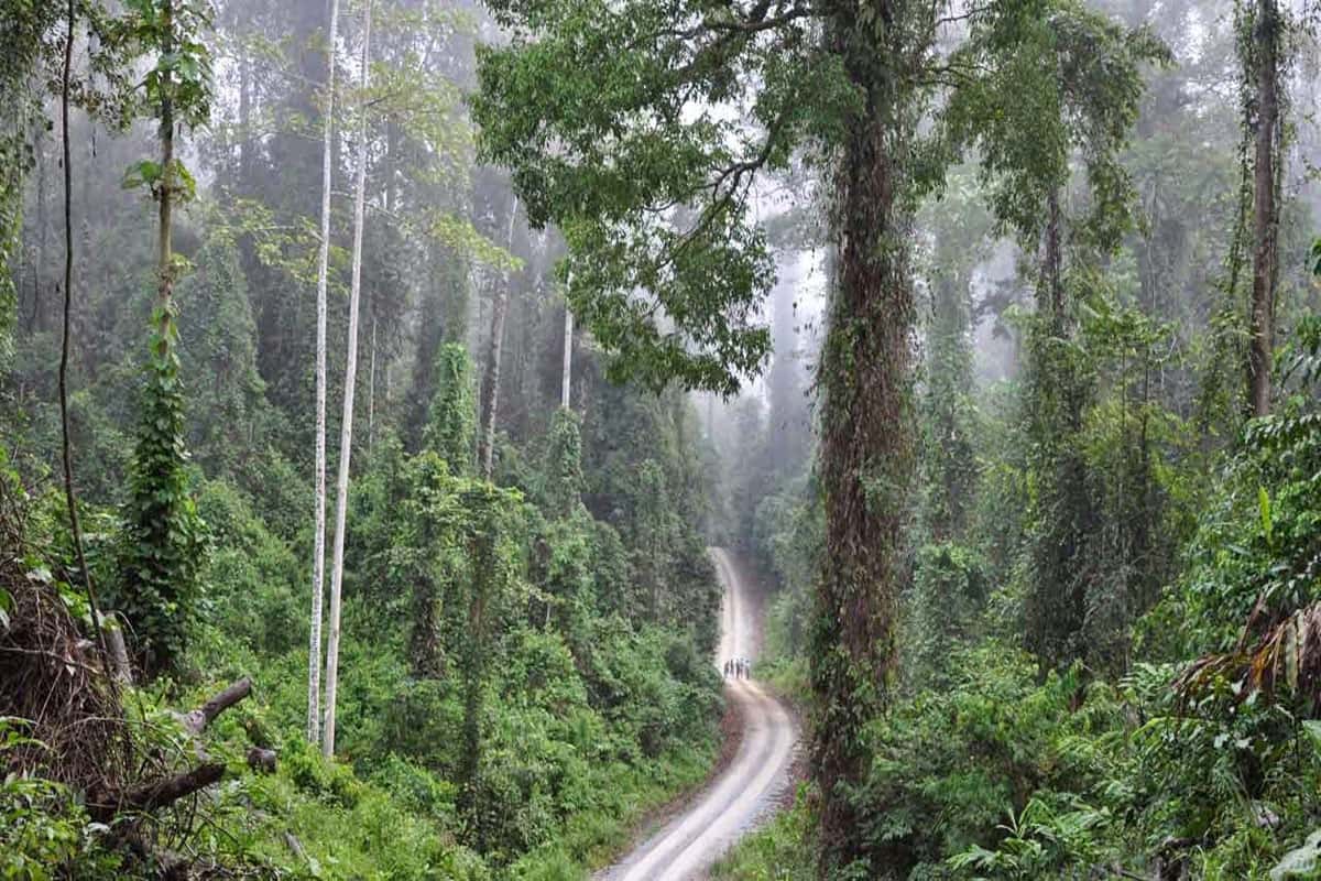 Khu bảo tồn thiên nhiên Maliau Basin