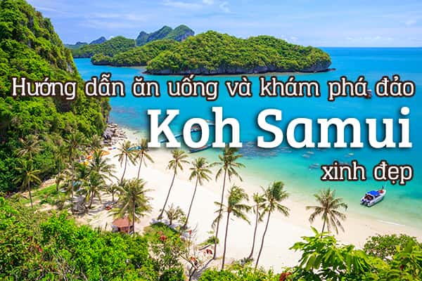 Du lịch đảo Koh Samui: sổ tay hướng dẫn từ A đến Z