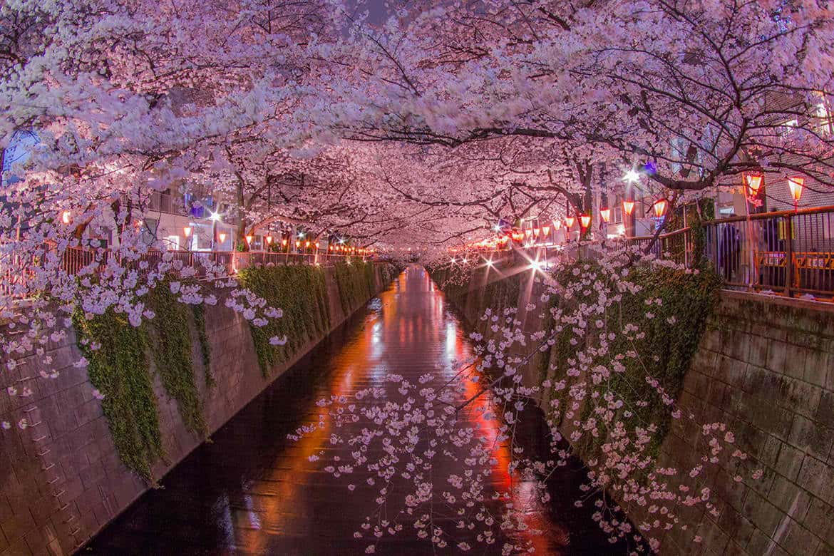 Sông Meguro