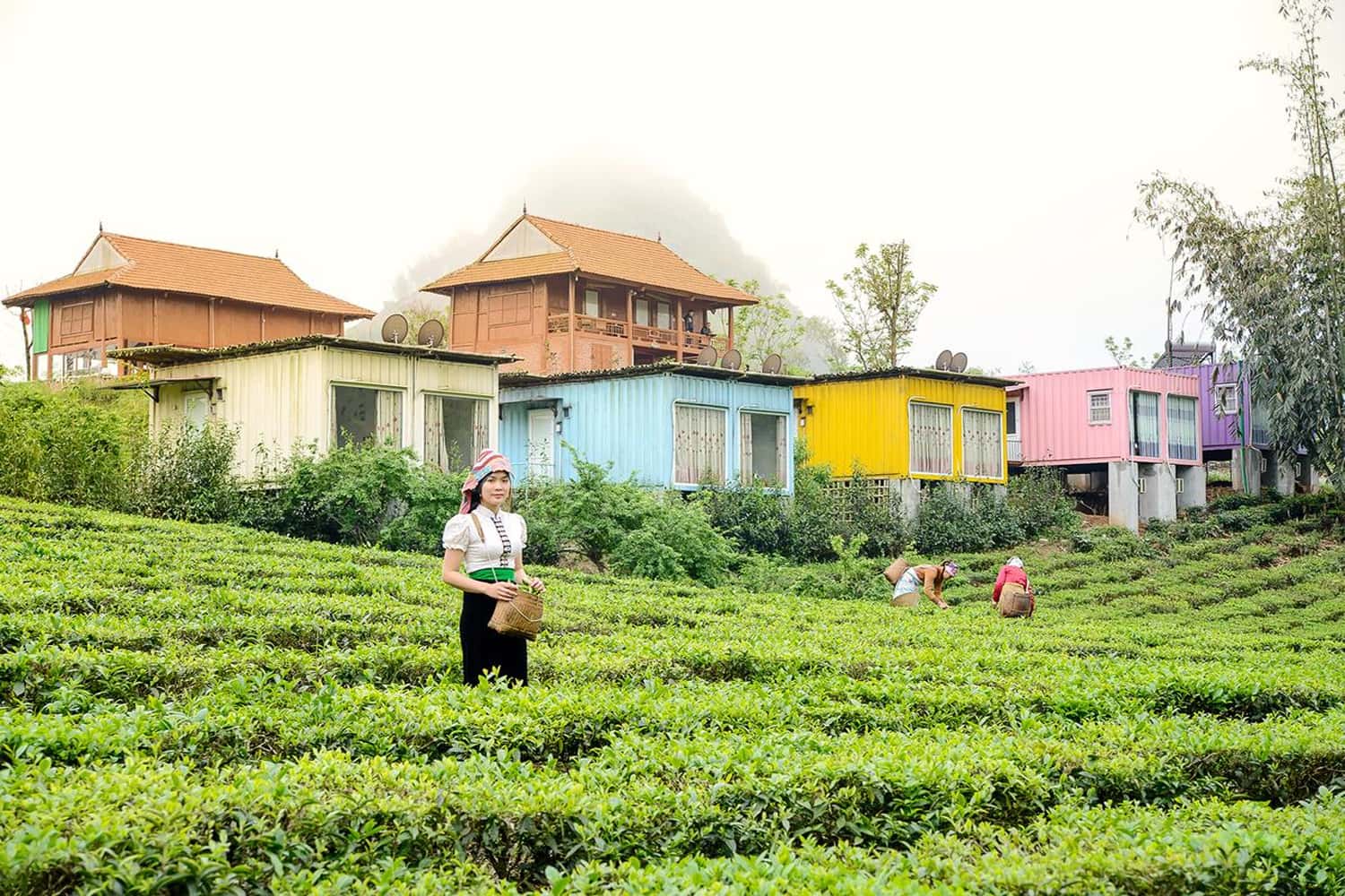 Mộc Châu Arena Village