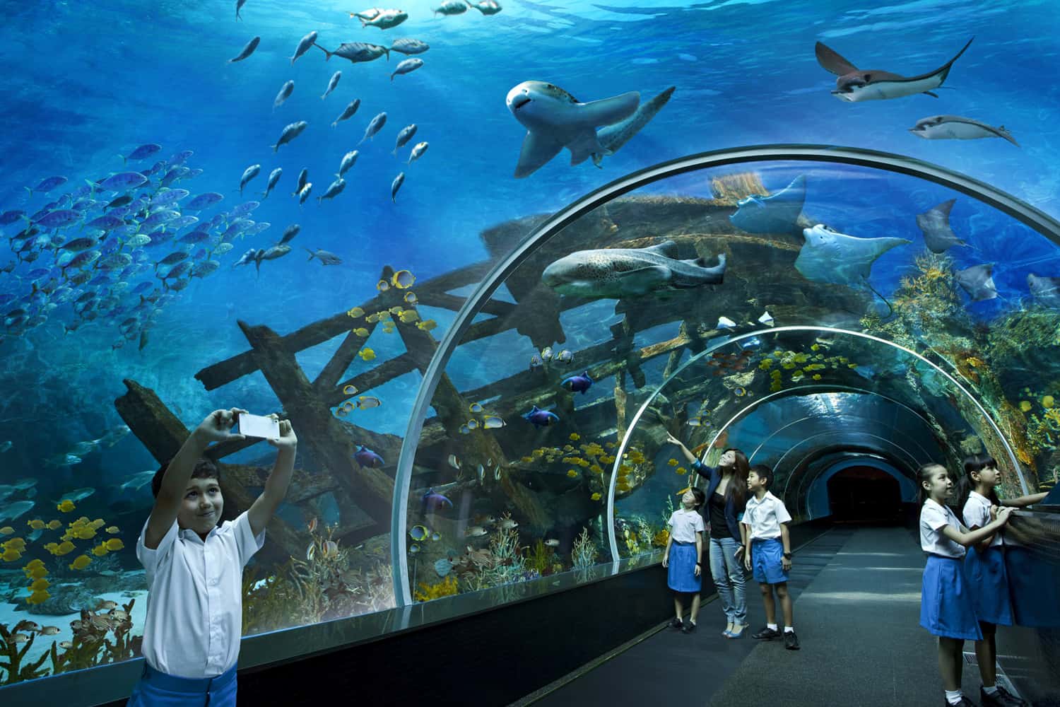 Thủy cung S.E.A Aquarium