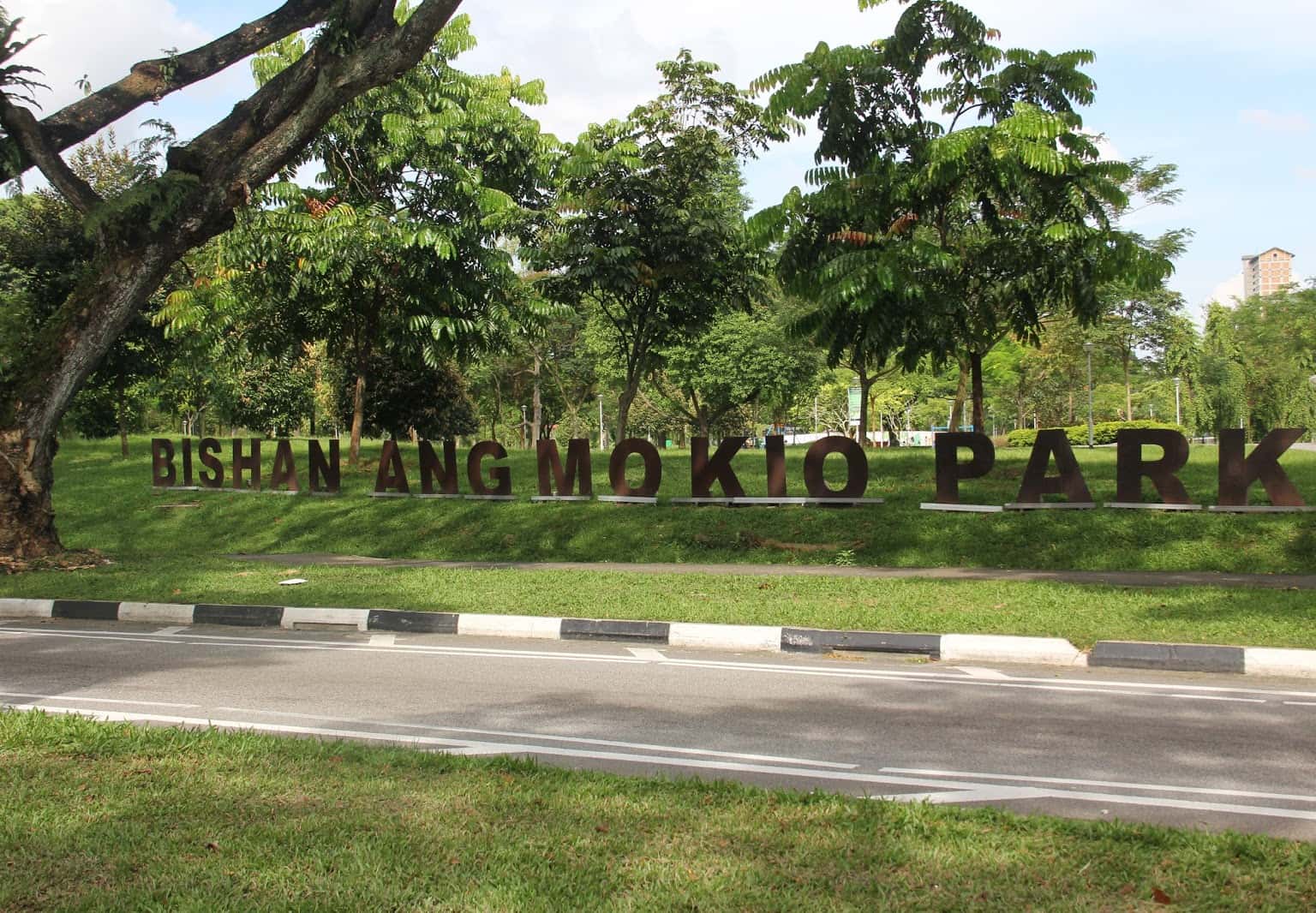 Bishan-Ang Mo Kio Park