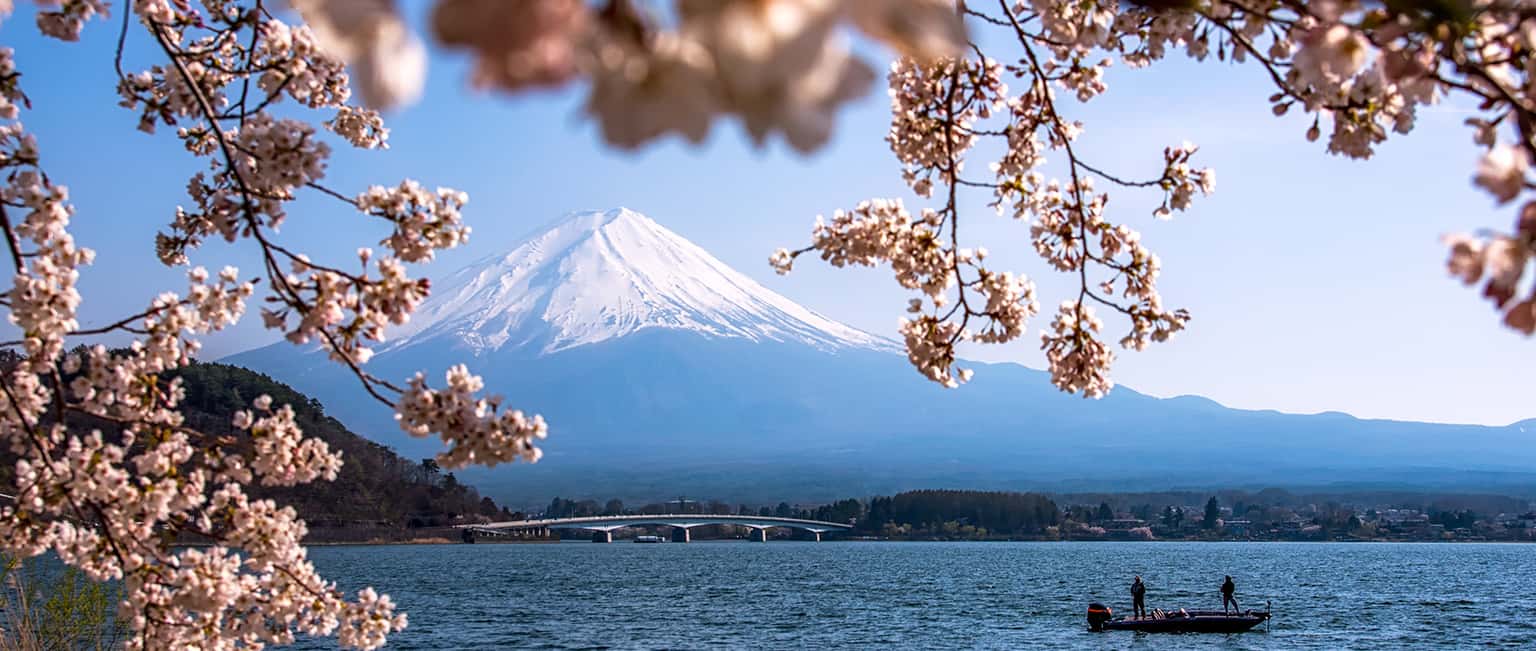 Hướng dẫn khám phá trọn vẹn Tokyo chỉ trong 24h