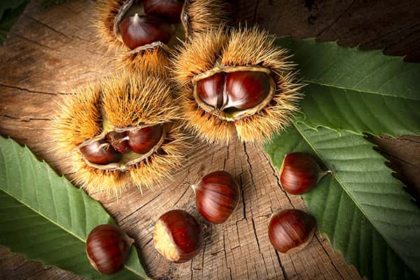 Mua gì về làm quà khi du lịch Trương Gia Giới