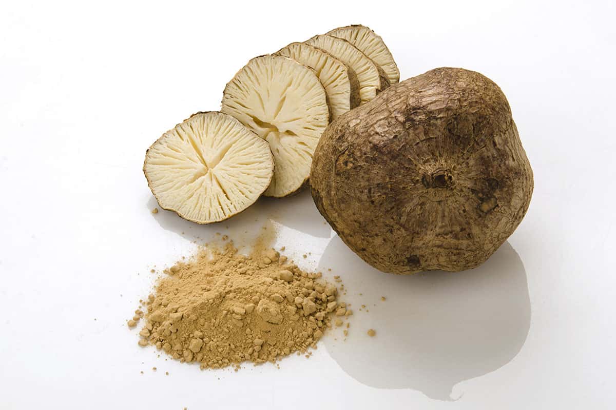 Bột Pueraria Mirifica