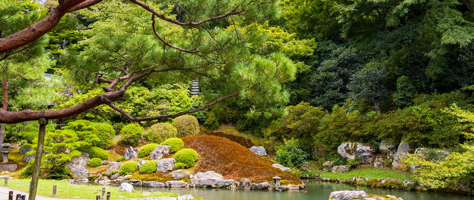 Top 10 địa điểm du lịch tuyệt đẹp ở Higashiyama, Kyoto