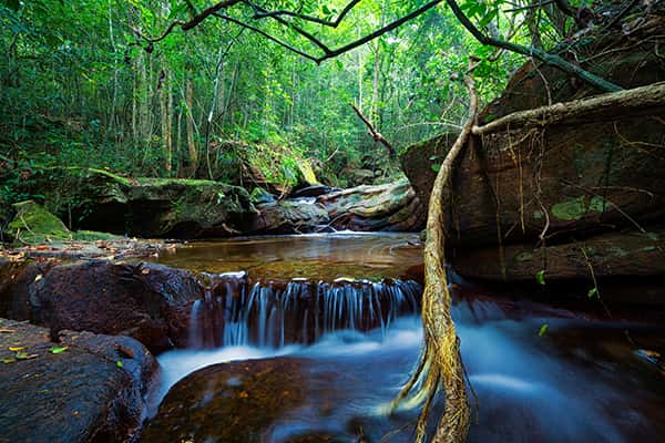 Suối Đá Bàn - Điểm du lịch không thể bỏ lỡ tại Phú Quốc
