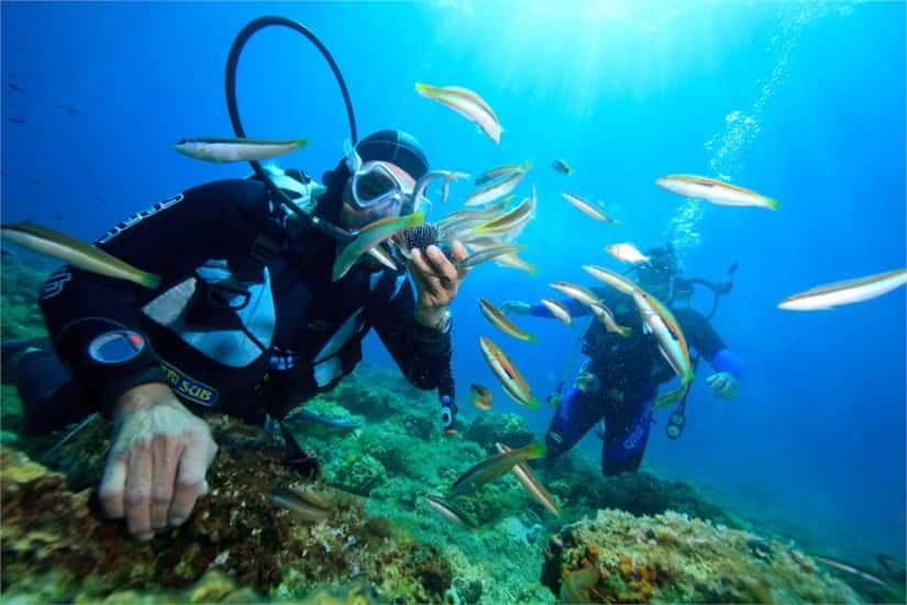 Lặn biển tại Bán đảo Sơn Trà 